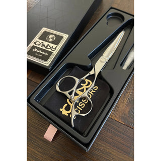iCandy ELECTRO-EVO Silver VG10 Scissor (6.0 inch) Limited Edition! - MV hair and beauty