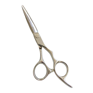 iCandy ELECTRO Silver VG10 Scissor 6.0 - MV hair and beauty
