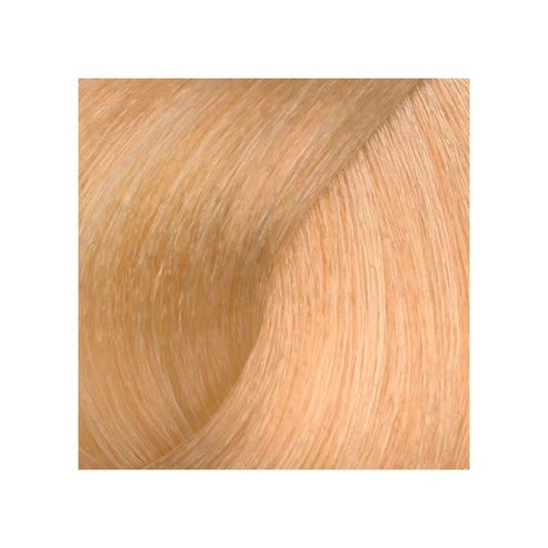 MV hair and beauty