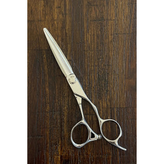 iCandy ELECTRO-EVO Silver VG10 Scissor (6.0 inch) Limited Edition! - MV hair and beauty