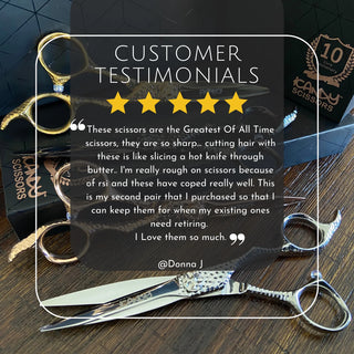 iCandy SWORD PRO Silver VG10 Scissor 6.1 inch Limited Edition! - MV hair and beauty